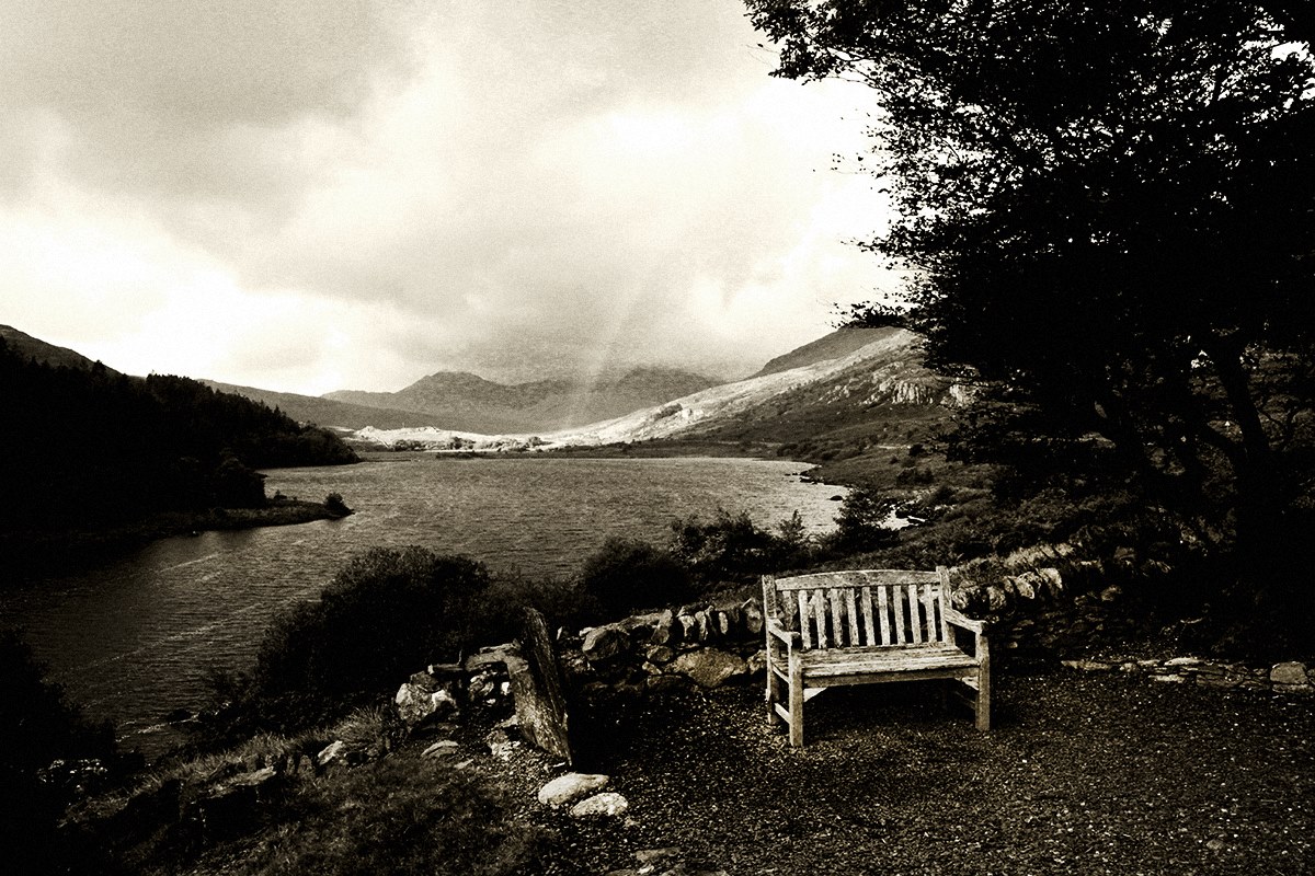 12068470 903747483053025 6512158487969751174 o